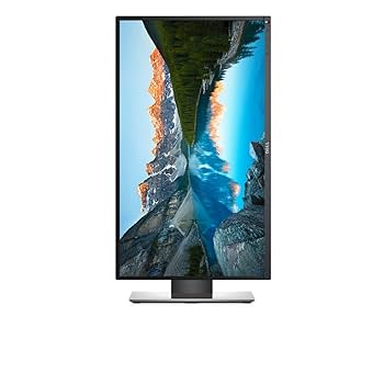 Dell Professional P2317H 23